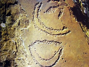 Ideogrammi nelle incisioni rupestri (XII-V millennio a.C. Sud Australia